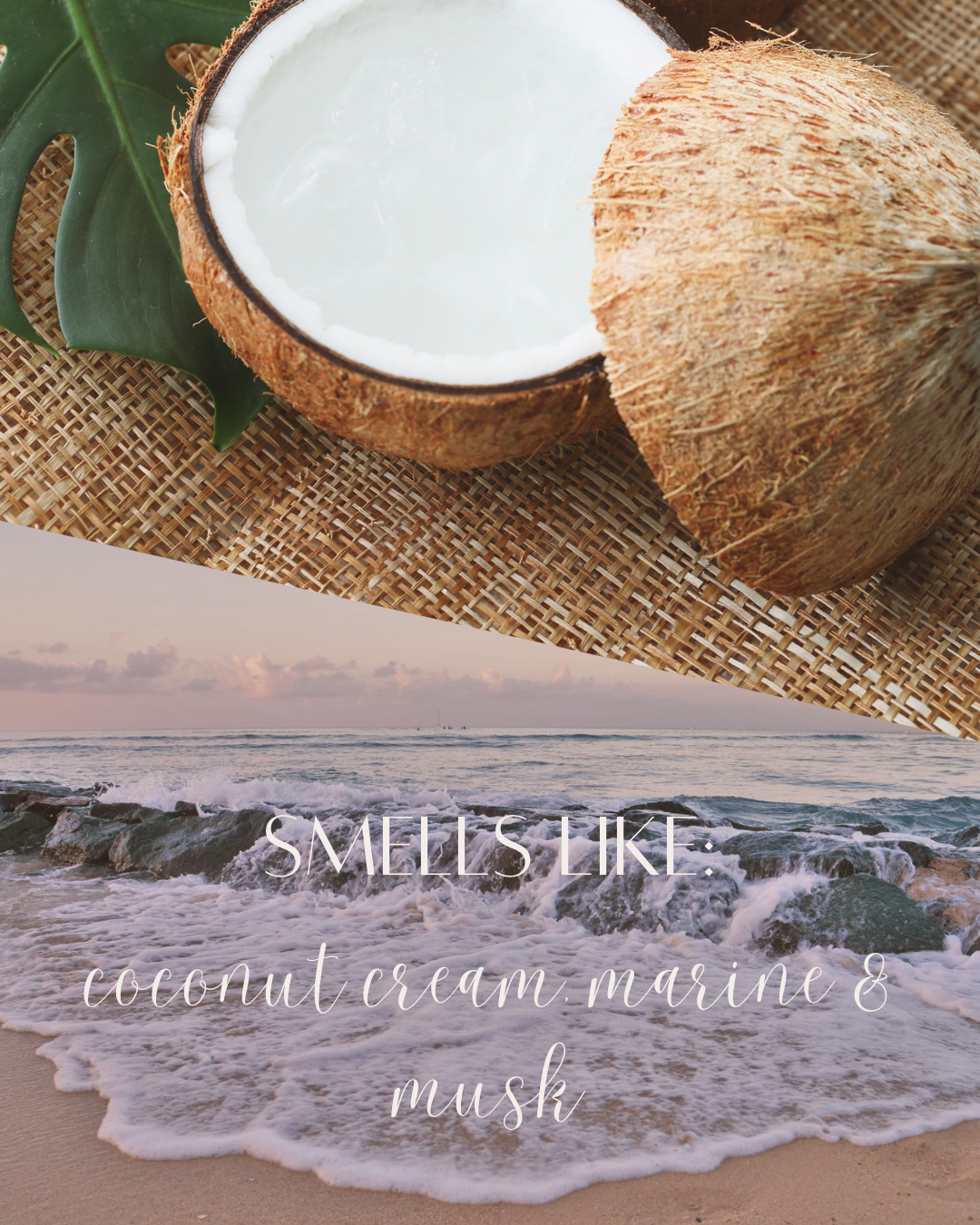 Coconut + Ocean Tides