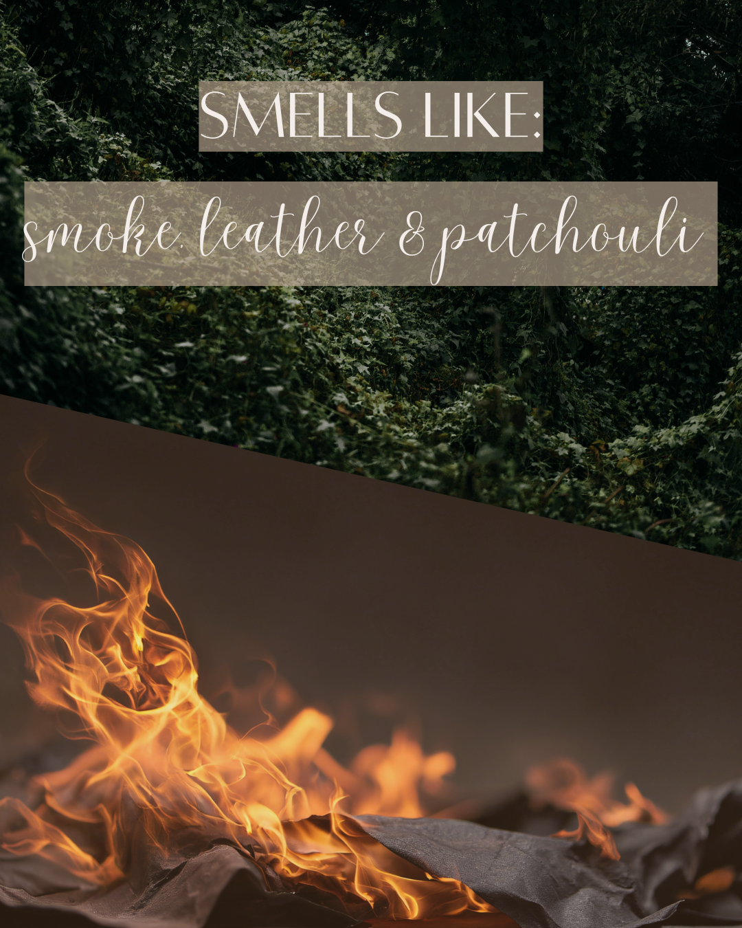 Embers + Patchouli