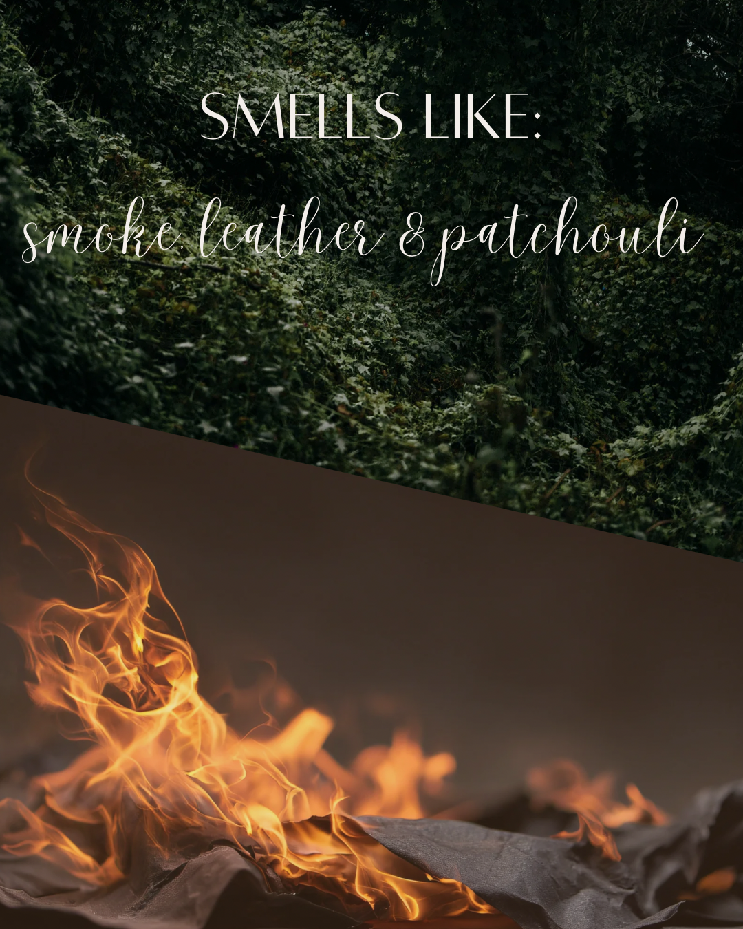 Embers + Patchouli