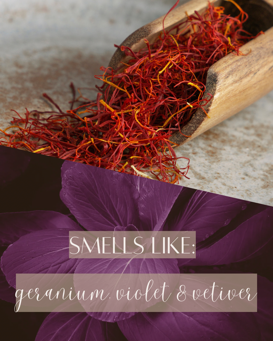 Violet + Saffron
