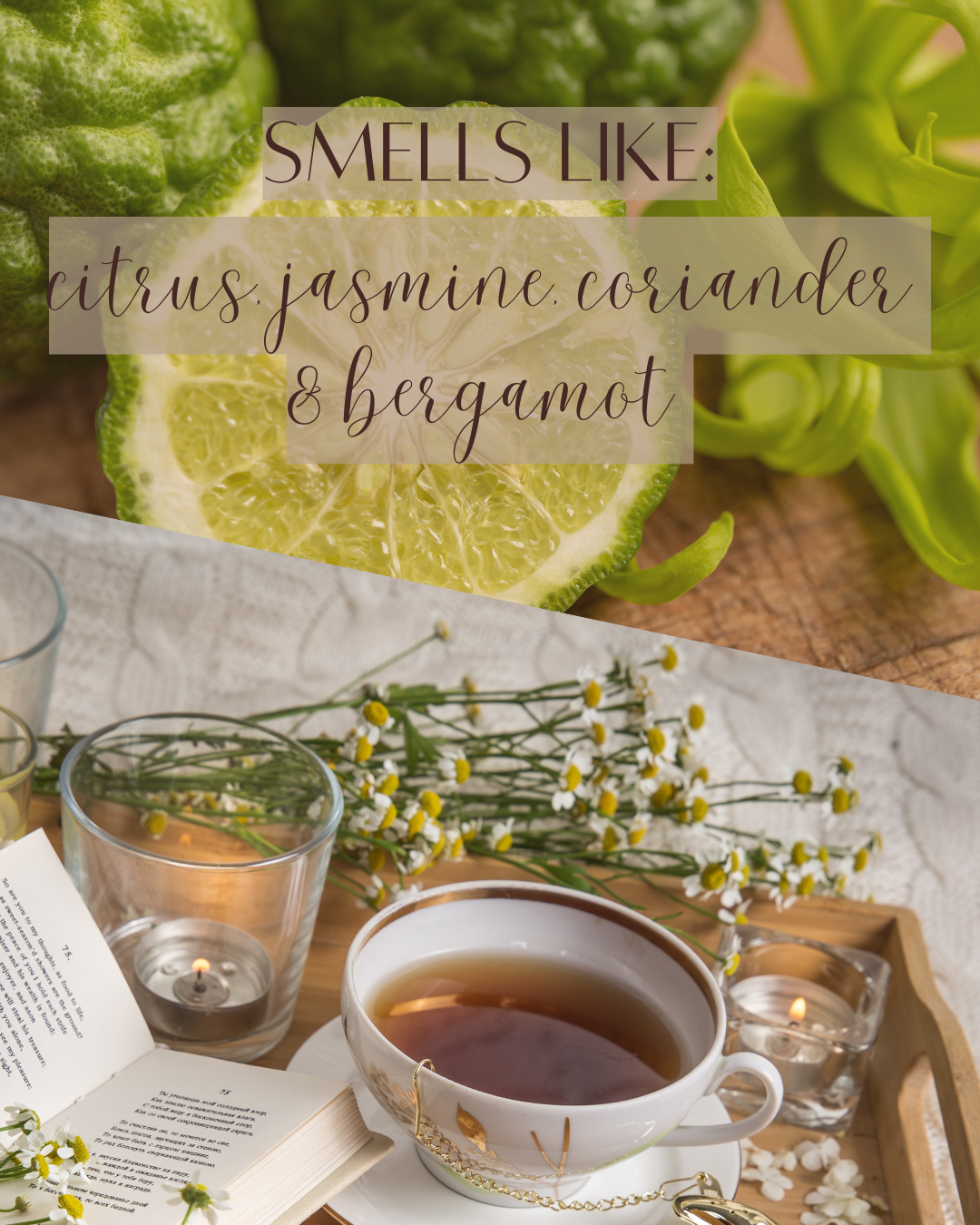 Black Tea + Bergamot