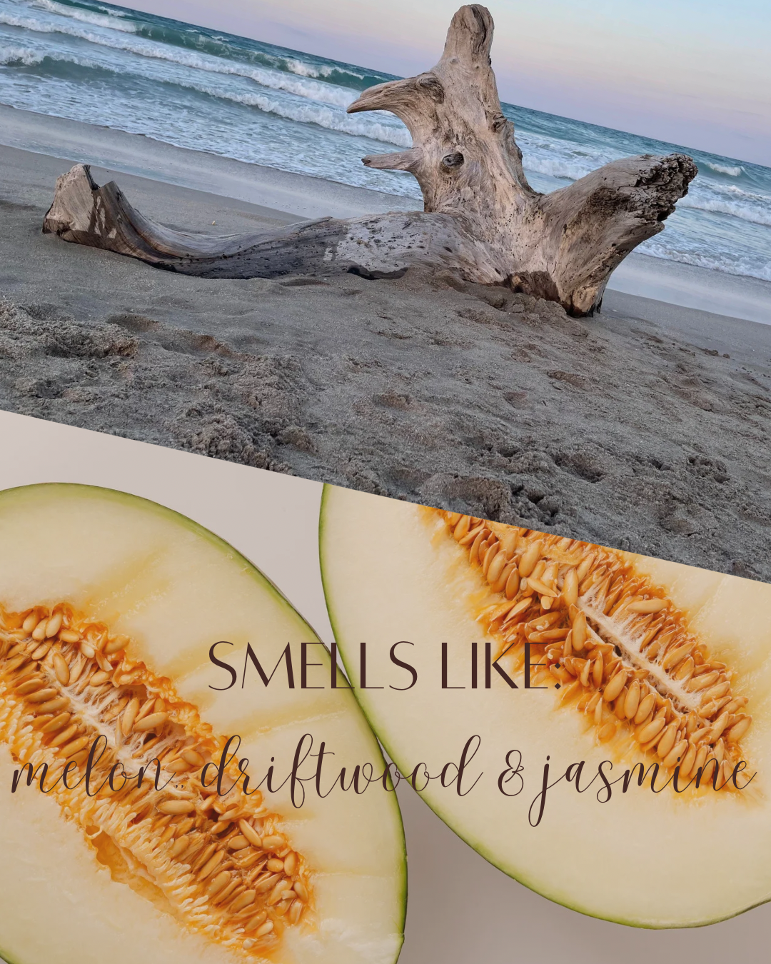 Melon + Driftwood